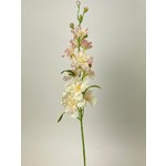 DELPHINIUM | PINK | 60 CM