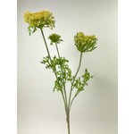 DAUCUS | YELLOW | 80 CM