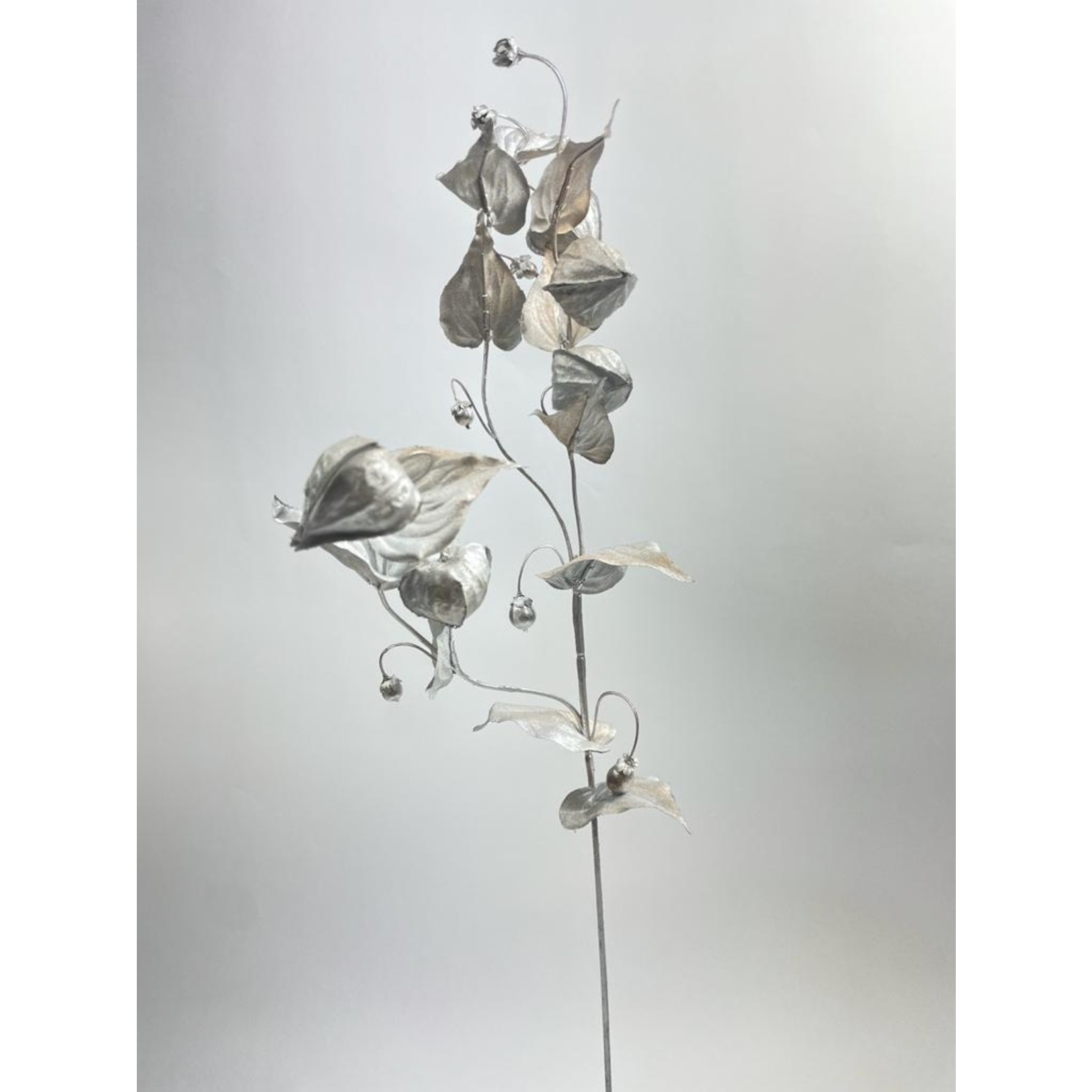 PHYSALIS BRANCH | SILVER | 65 CM