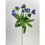 HELLEBORE | BLUE | 45 CM