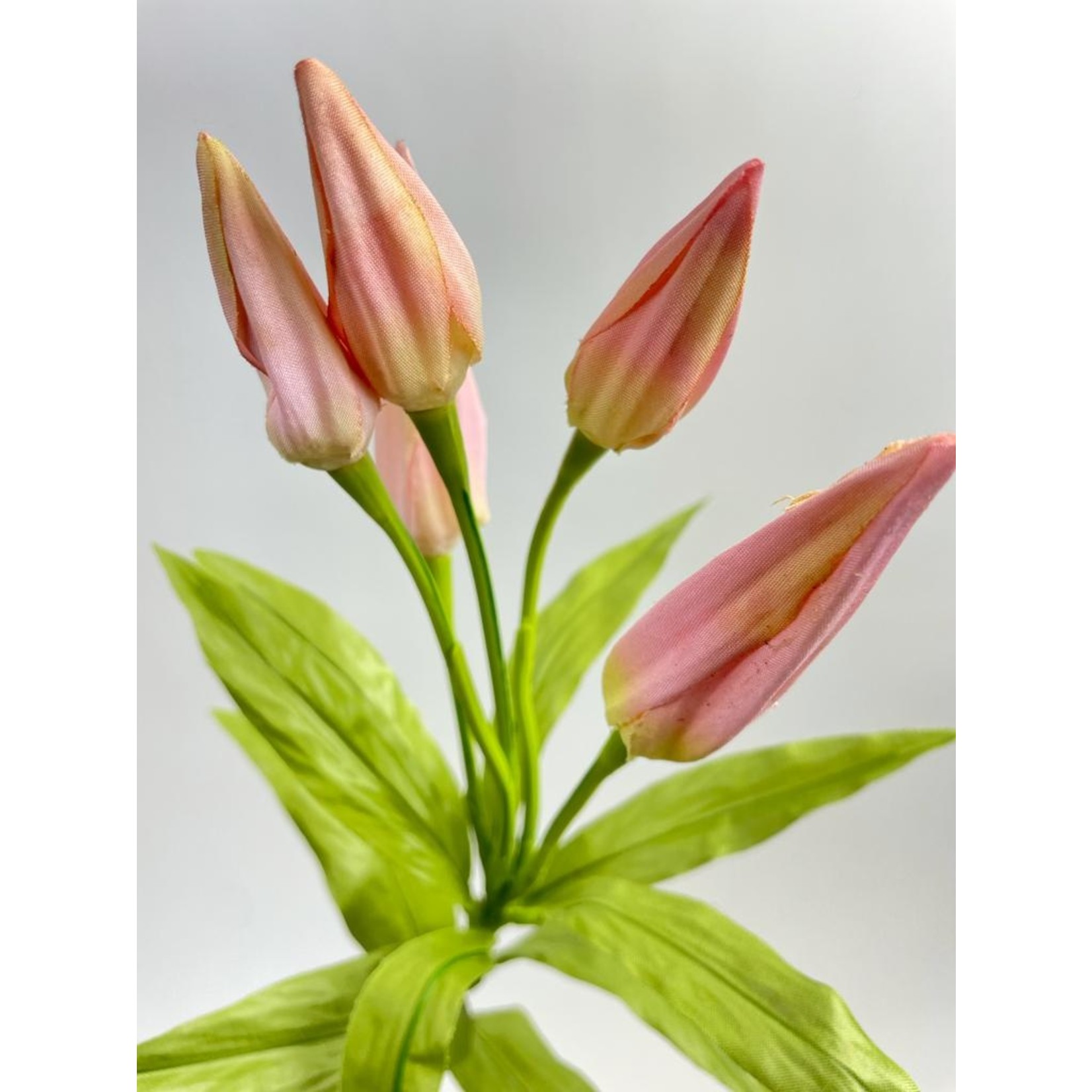 LILY IN BUD| PINK | 68 CM