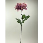 CHRYSANTHEMUM | LILAC | 82 CM