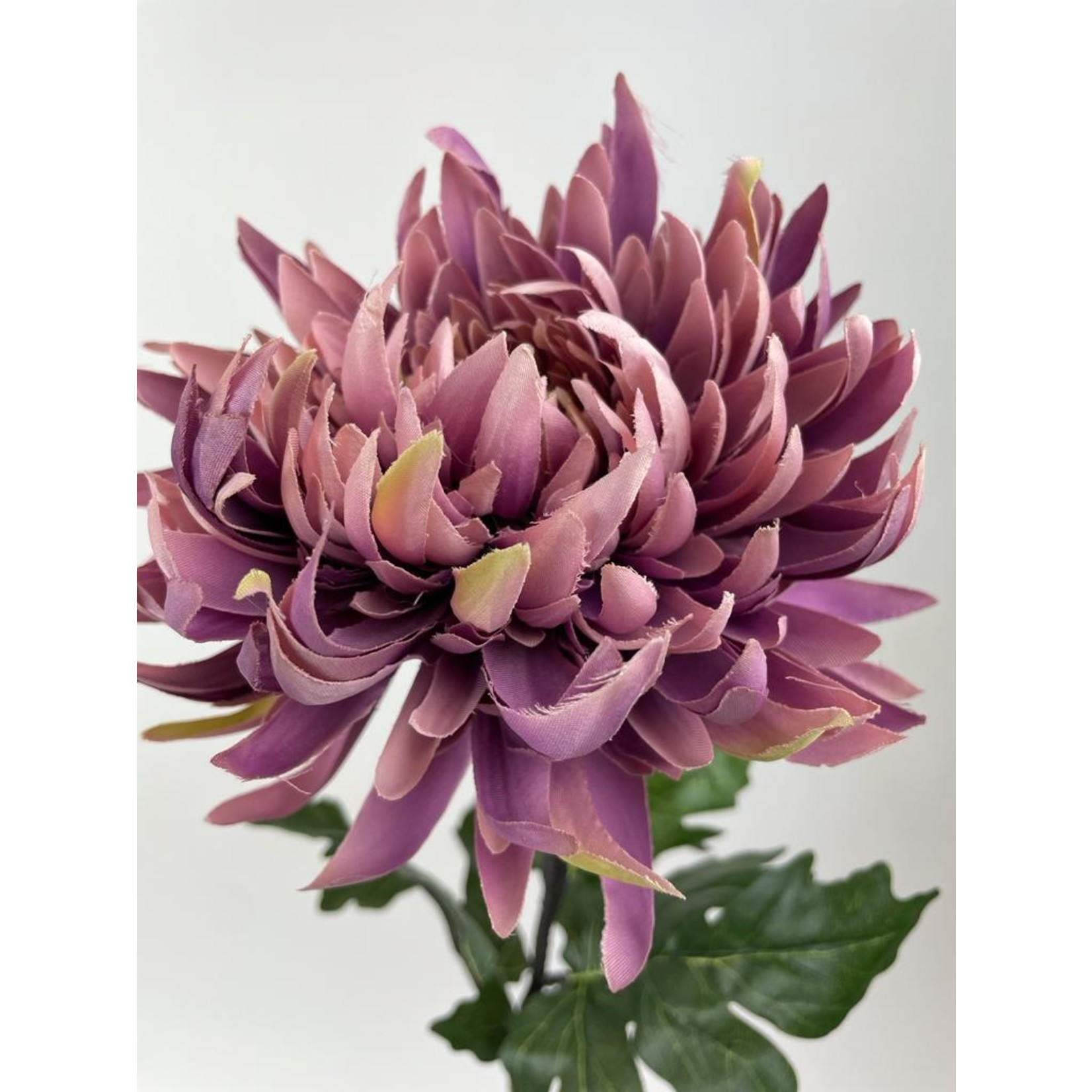 CHRYSANT LARGE | LILA | 82 CM