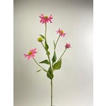 ECHINACEA |PINK | 83 CM