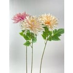 DAHLIA MIX | PINK |  67 CM