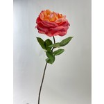 ROOS | ROZE | 56 CM