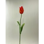 TULP | ORANJE | 64 CM