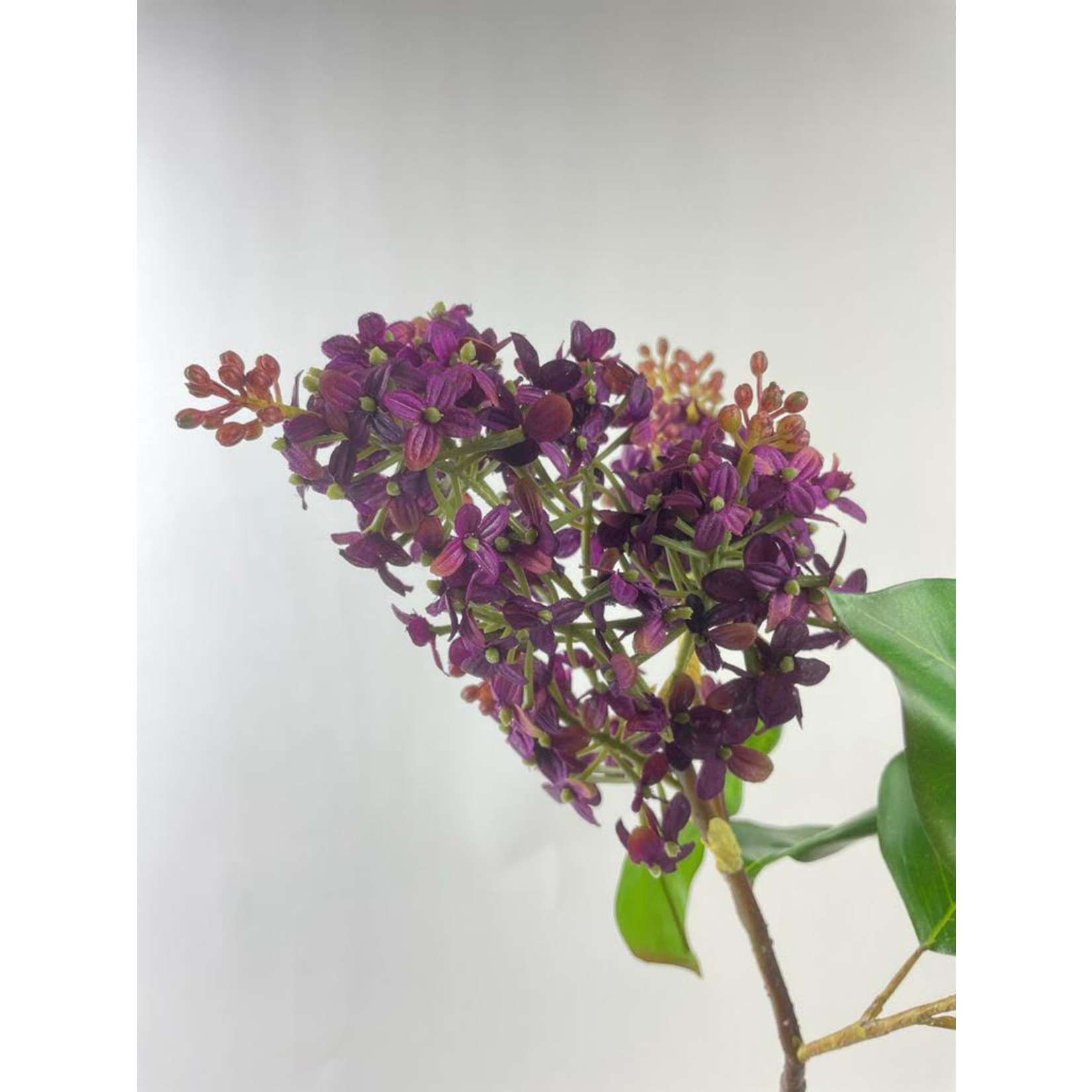 LILAC BRANCH SHRUBS | PURPLE | 81 CM