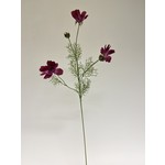 COSMEA | FUCHSIA | 90 CM