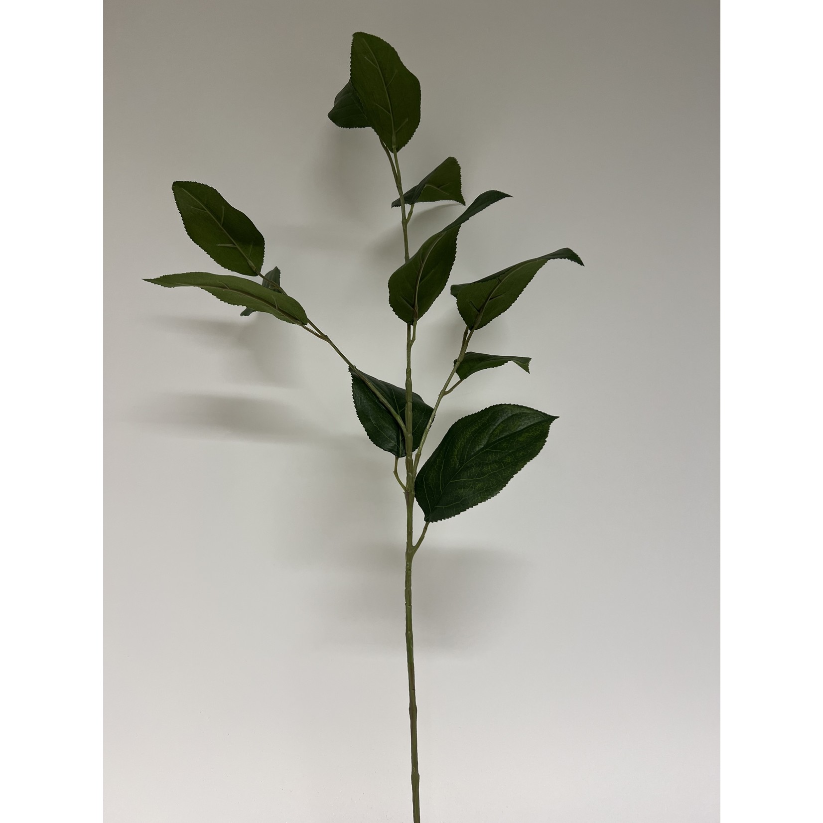 SALAL LEAF| GREEN | 68 CM