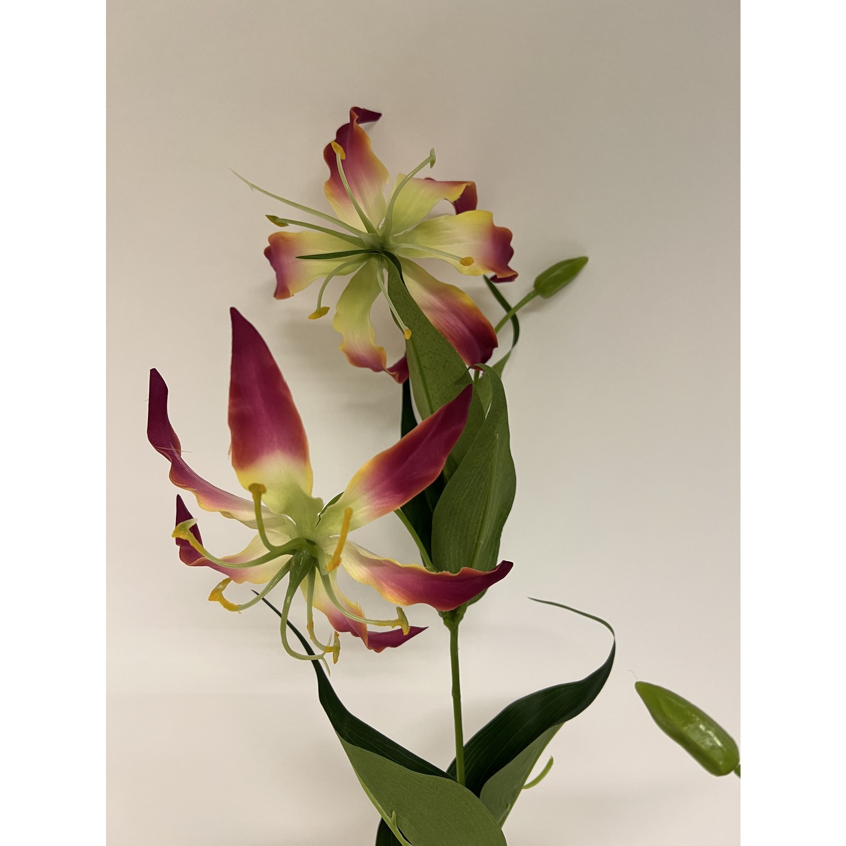 GLORIOSA WITH LEAF | PINK| 85 CM