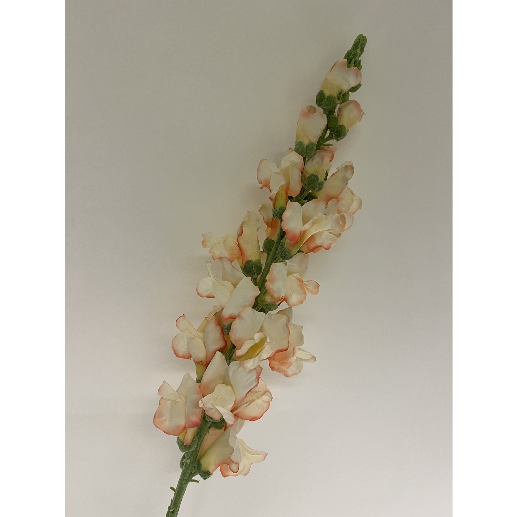 SNAPDRAGON MADAME BUTTERFLY | PINK| 98 CM