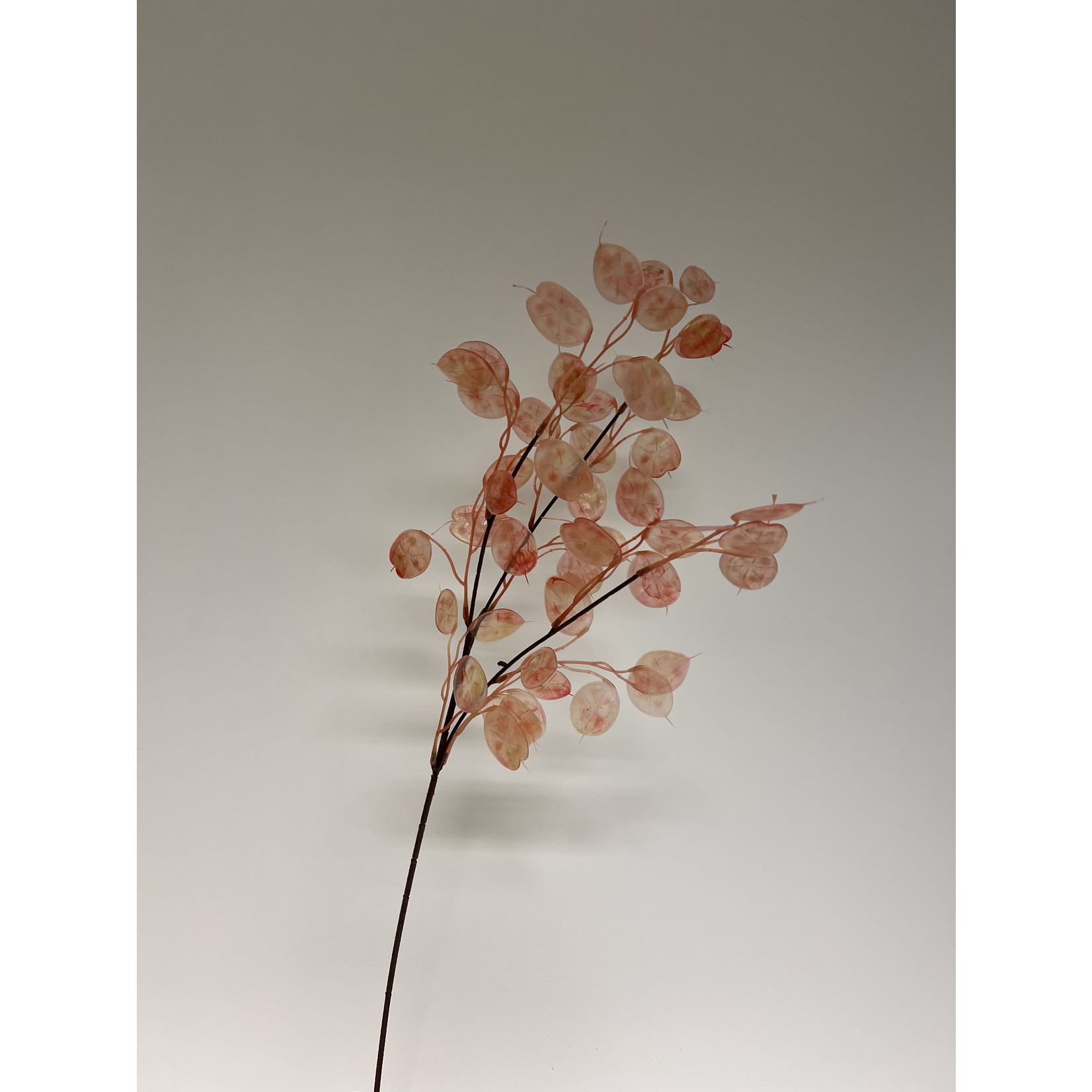 LUNARIA | PINK | 75 CM