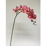 ORCHIDEE | ROZE| 87 CM