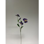 VIOLA | PAARS | 65 CM