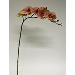 ORCHID | PINK | 87 CM