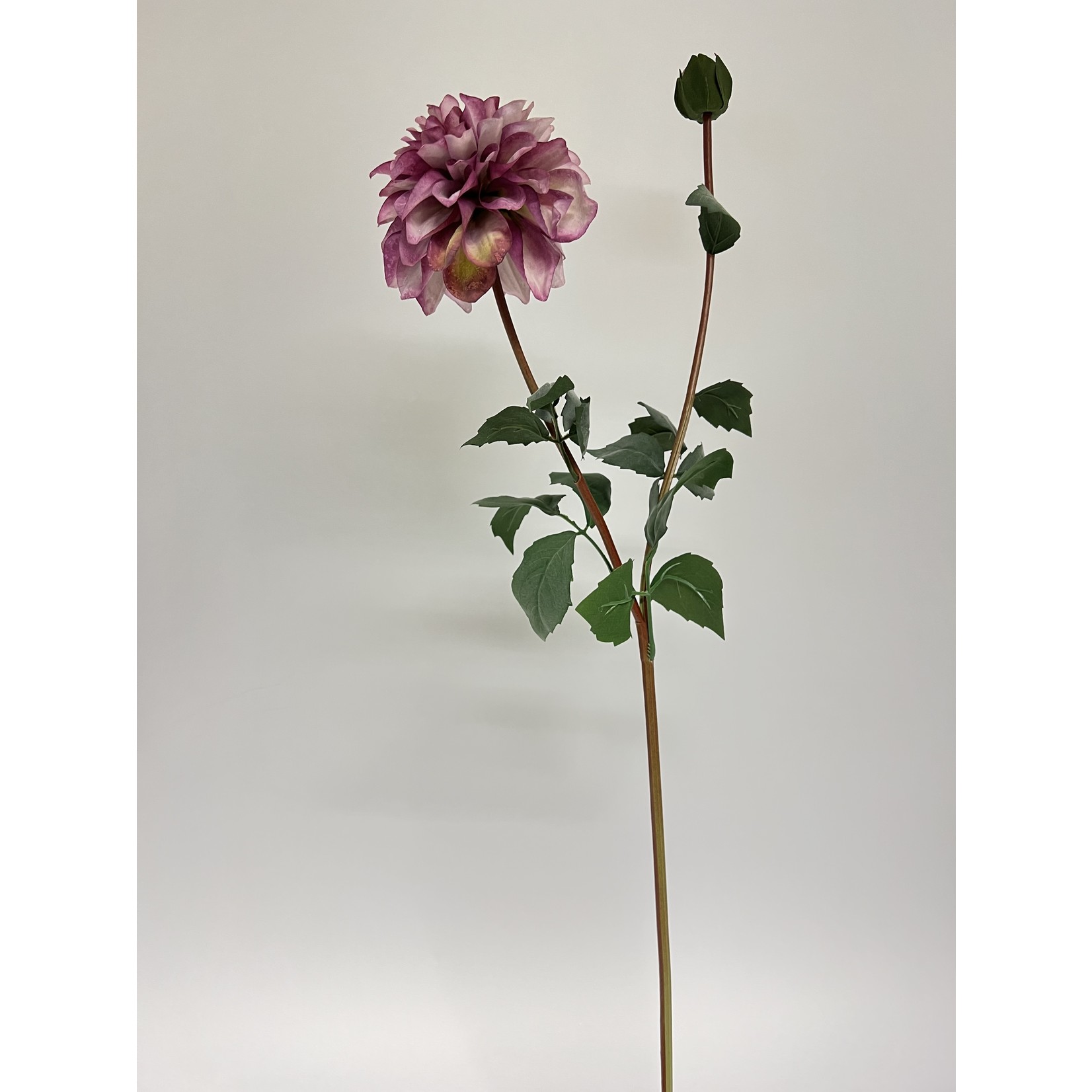 DAHLIA POMPON | PINK | 75 CM