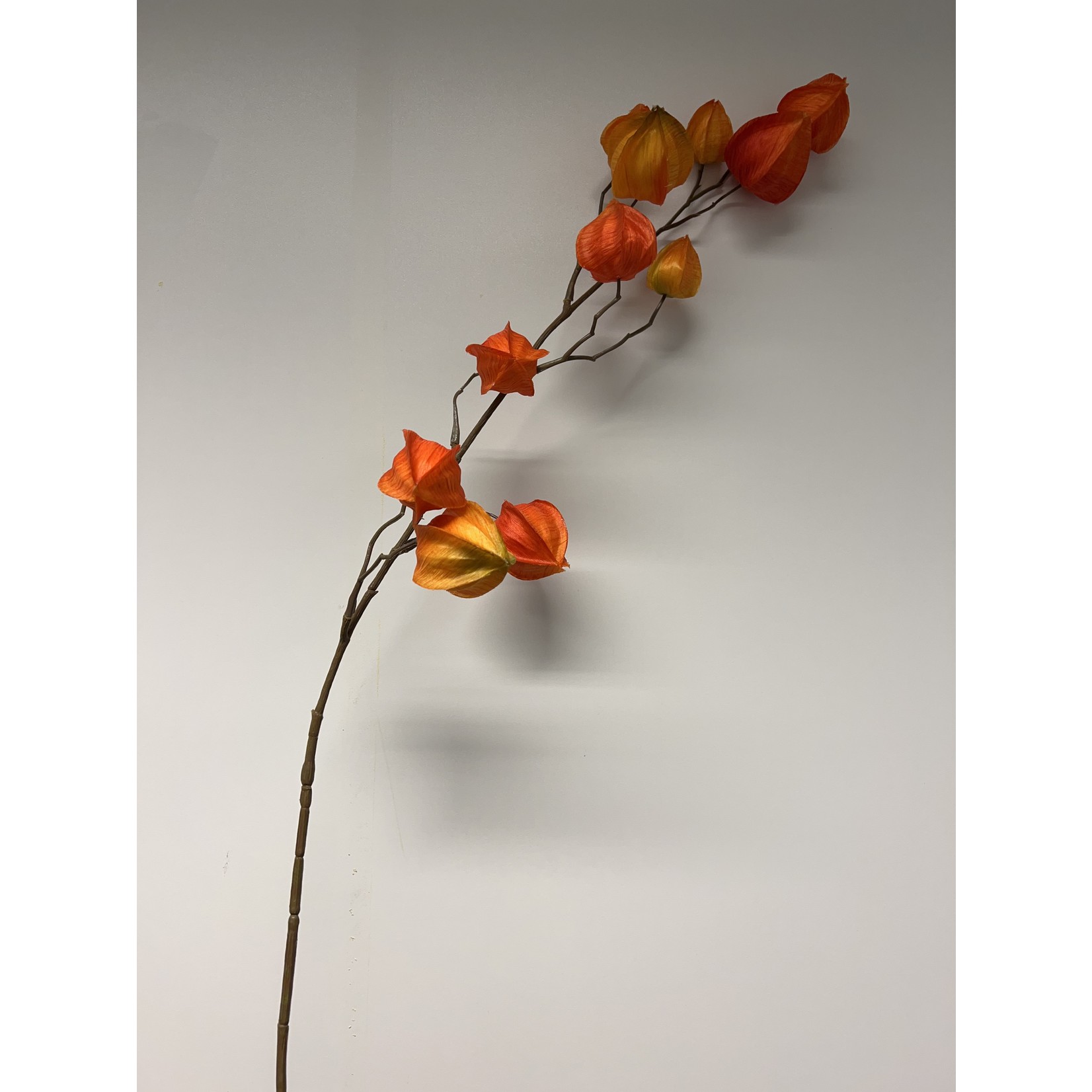 PHYSALIS BRANCH | ORANGE | 70 CM