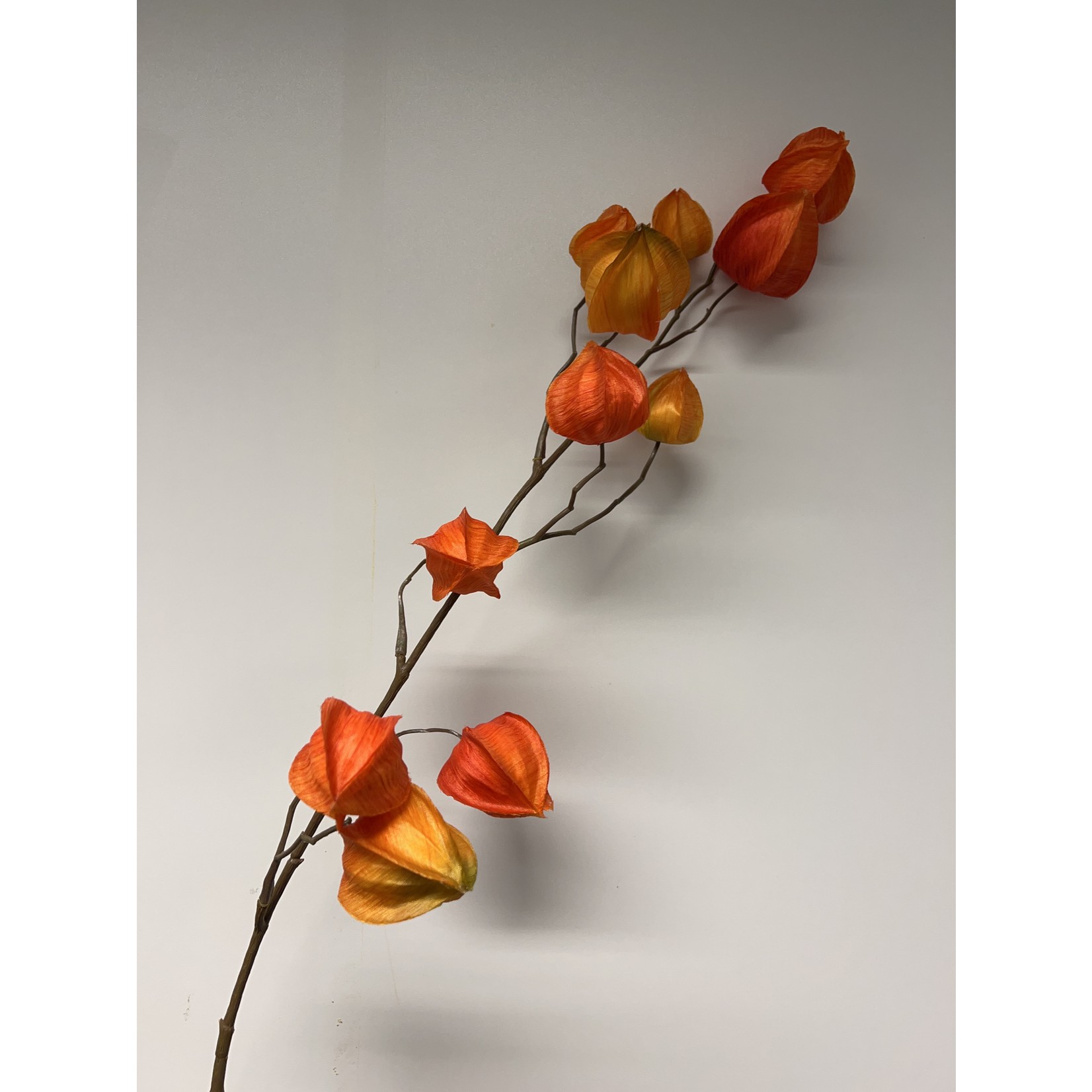 PHYSALIS BRANCH | ORANGE | 70 CM