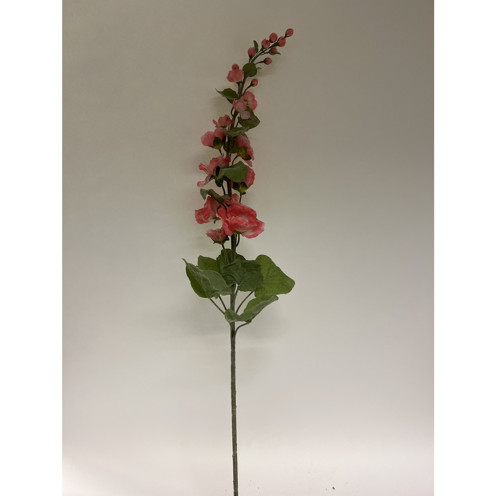 HOLLYHOCK DOUBLE PINK | PINK | 115 CM