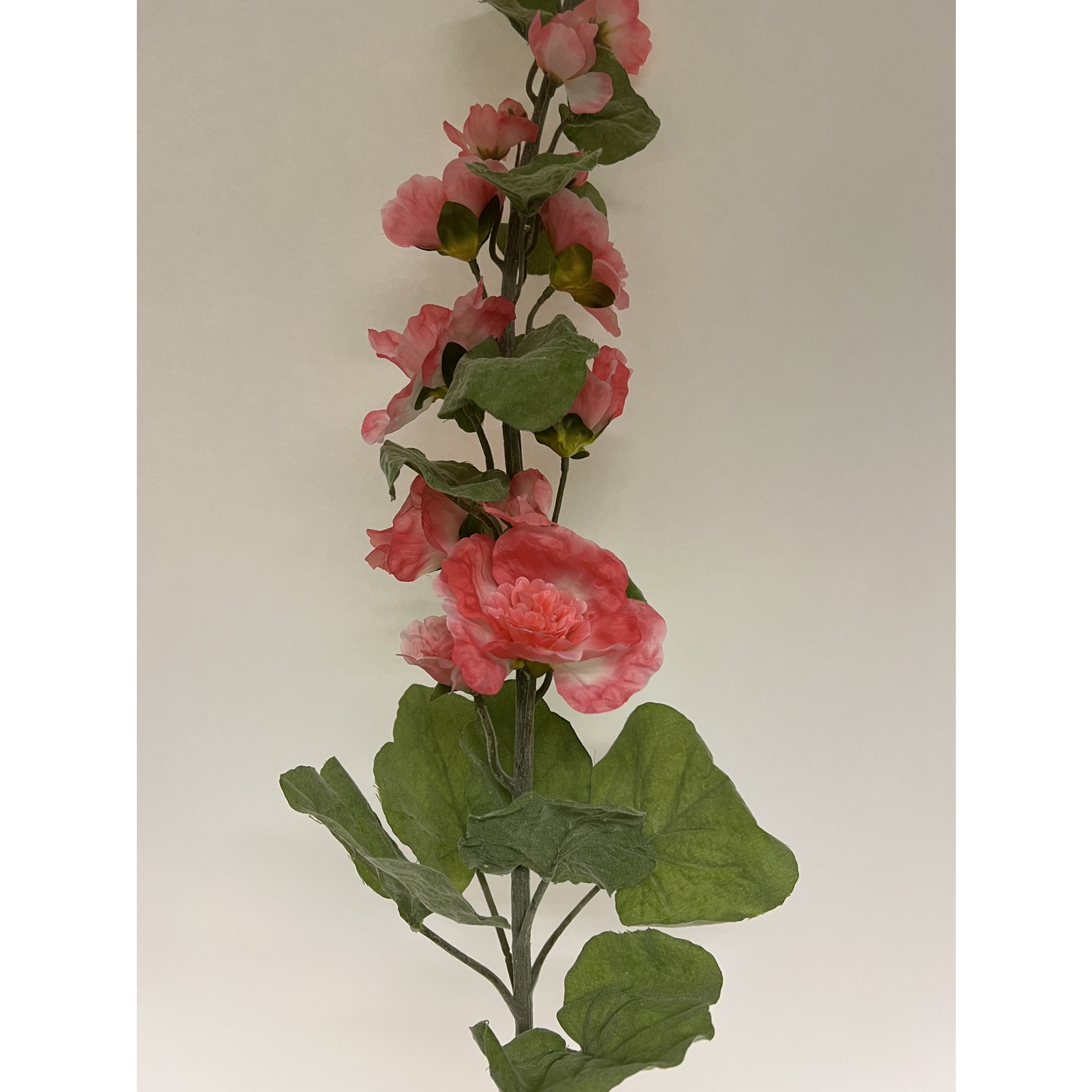 HOLLYHOCK DOUBLE PINK | PINK | 115 CM