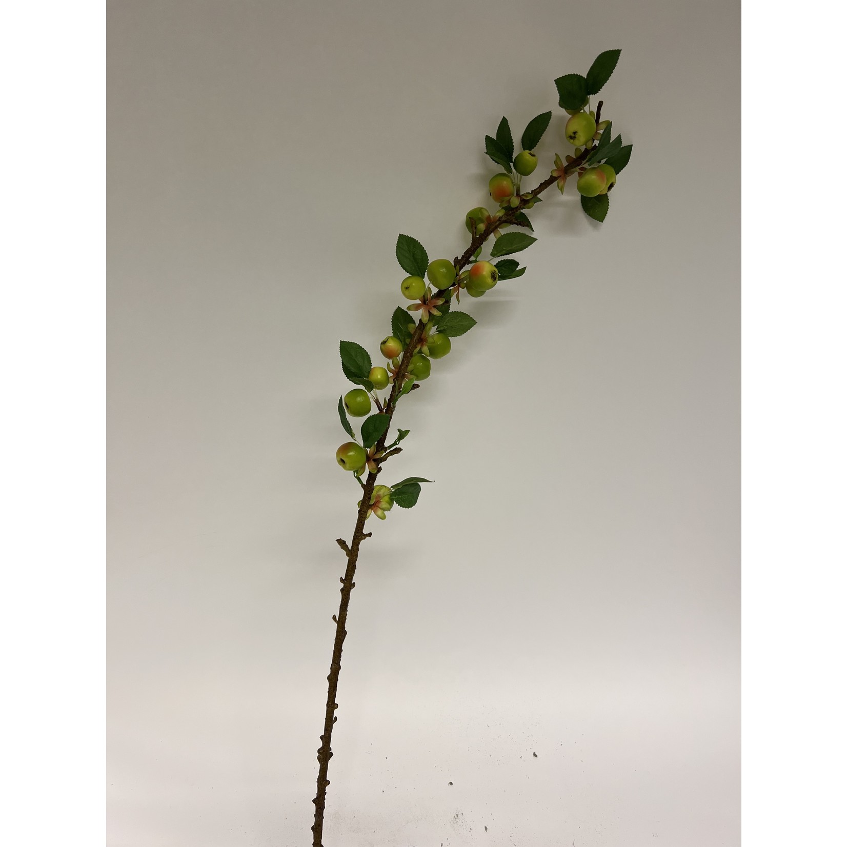 APPLE BRANCH | GREEN | 80 CM