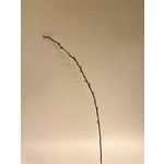 PUSSY WILLOW | BROWN | 100 CM