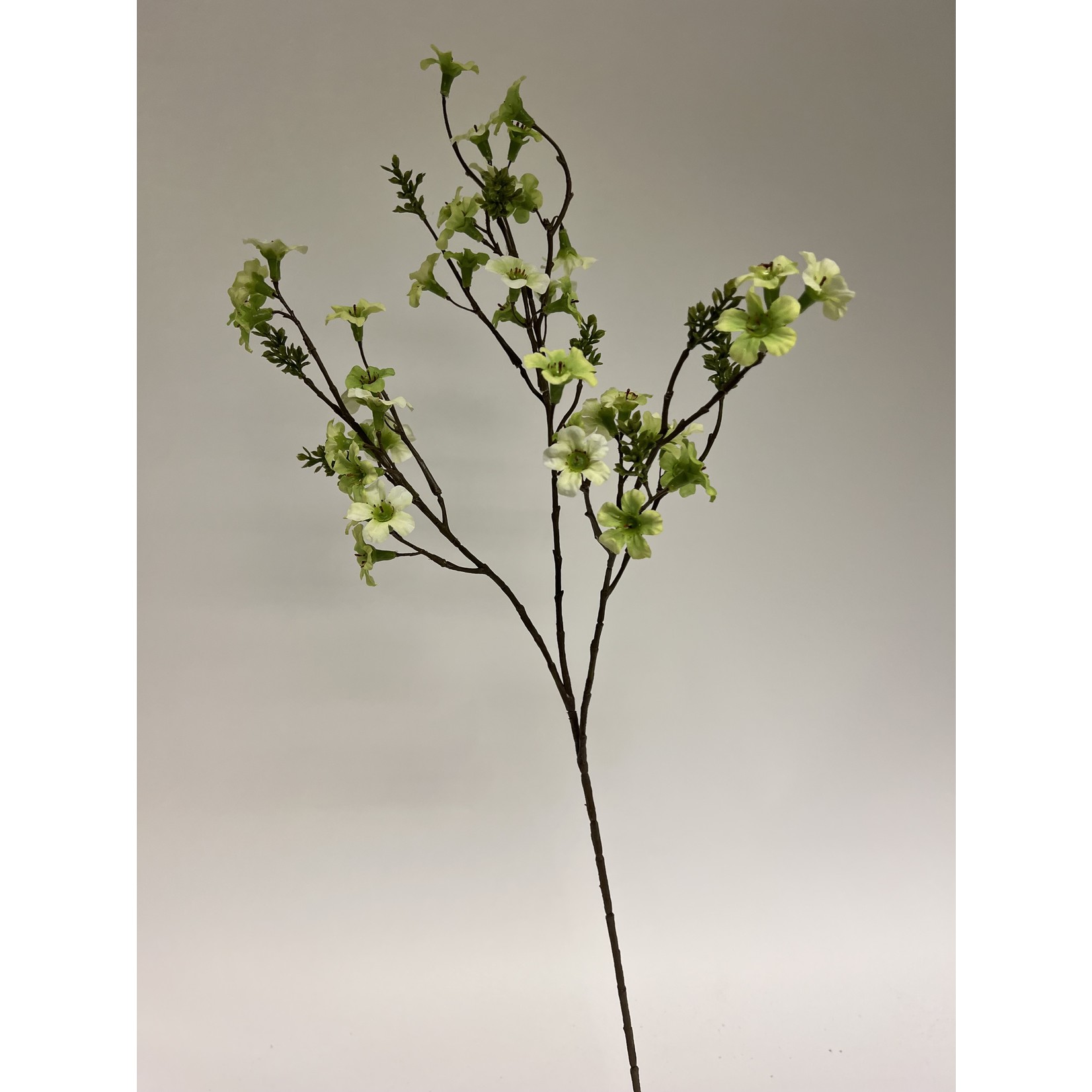 MANUKA TAK | GROEN | 86 CM