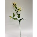 GLORIOSA | GEEL | 76 CM