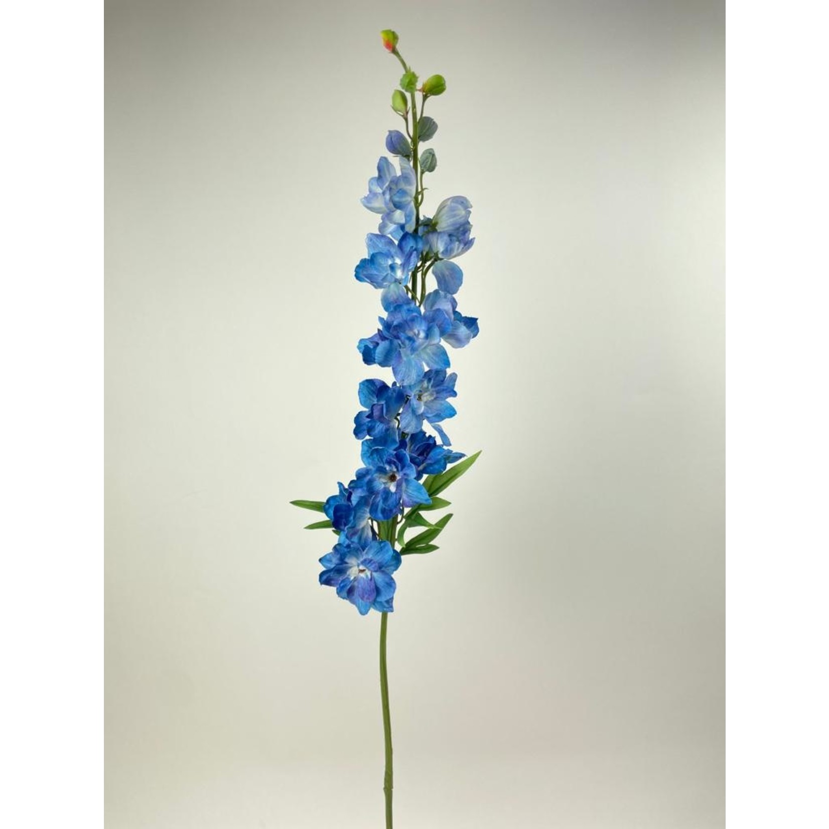 RIDDERSPOOR BLUE BIRD | BLAUW | 91 CM