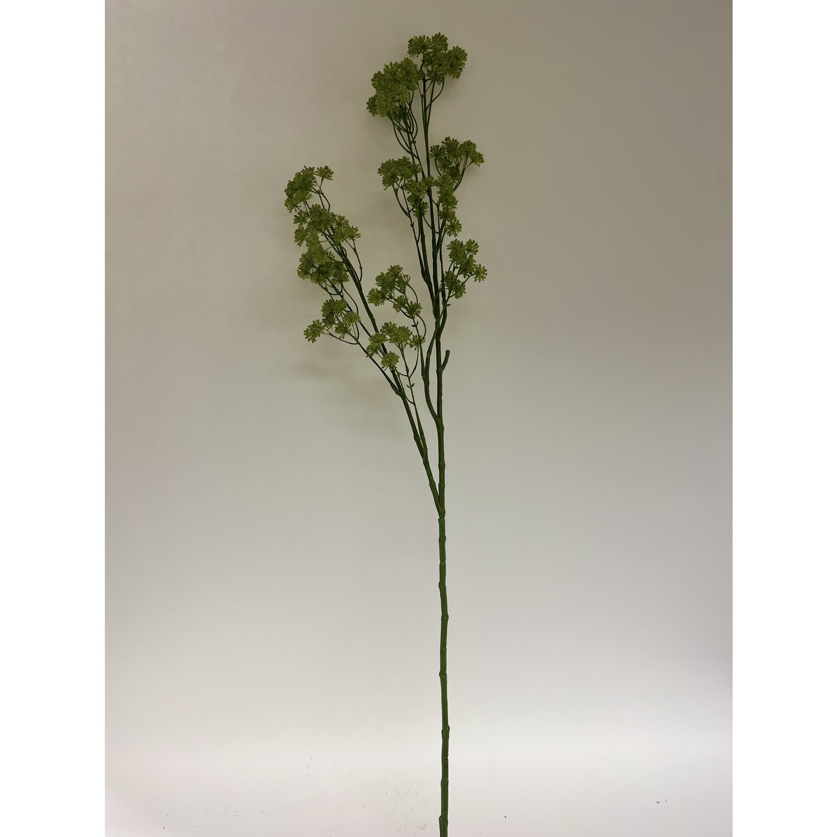 HOGWEED | GREEN | 127 CM