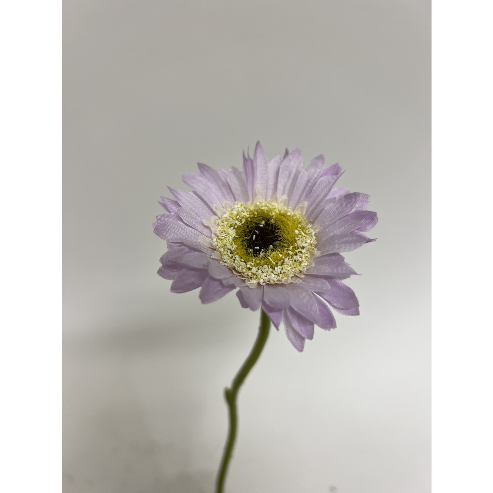 GERBERA PASTLE PURPLE | PURPLE | 28 CM