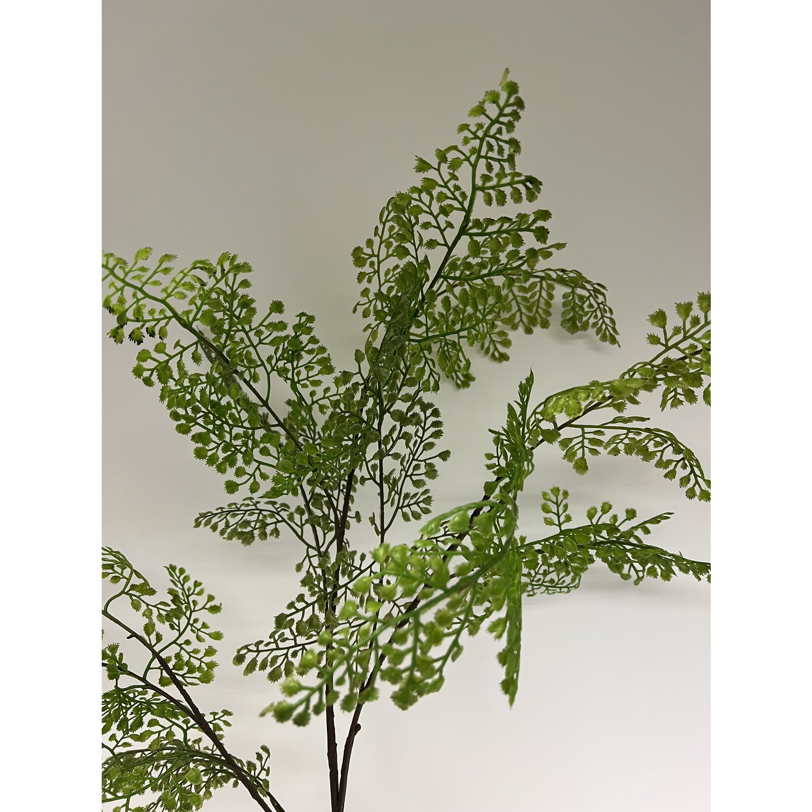 FERN LEAF | GREEN  | 105 CM