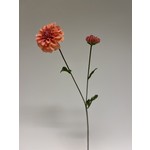 DAHLIA | ROZE | 63 CM