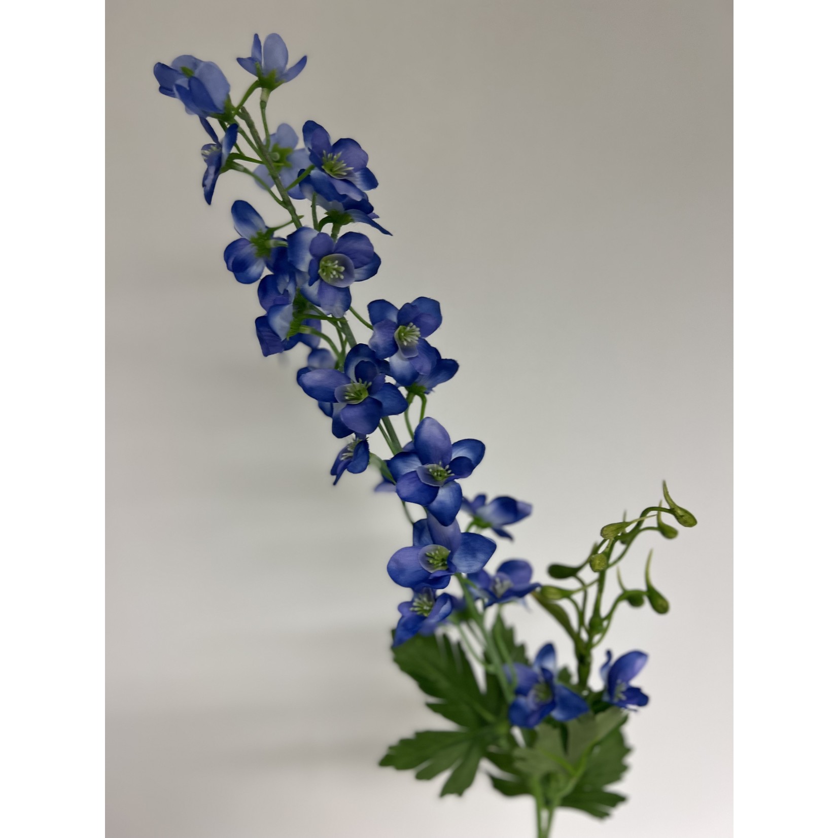 RIDDERSPOOR | BLAUW | 80 CM