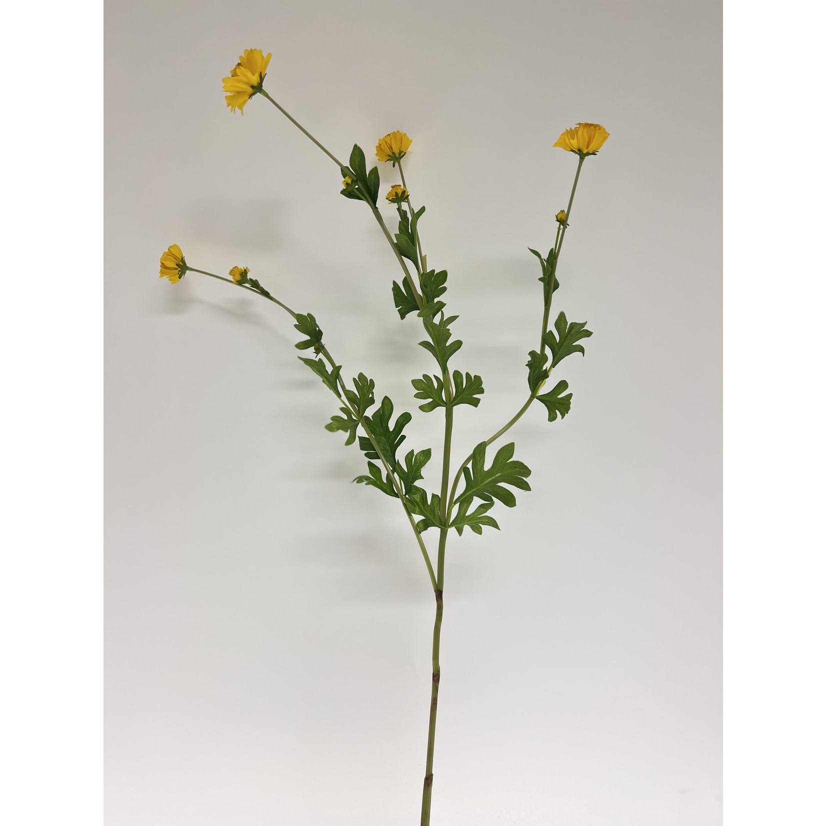 MINI CHRYSANTHEMUM | YELLOW | 63 CM