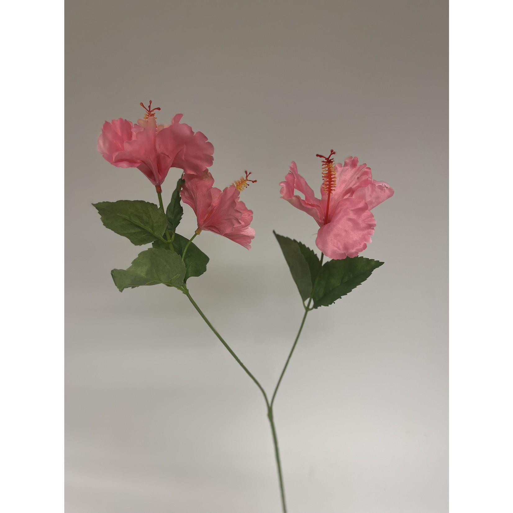 HIBISCUS 3X | PINK | 66 CM