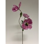 POPPY | FUCHSIA | 71 CM