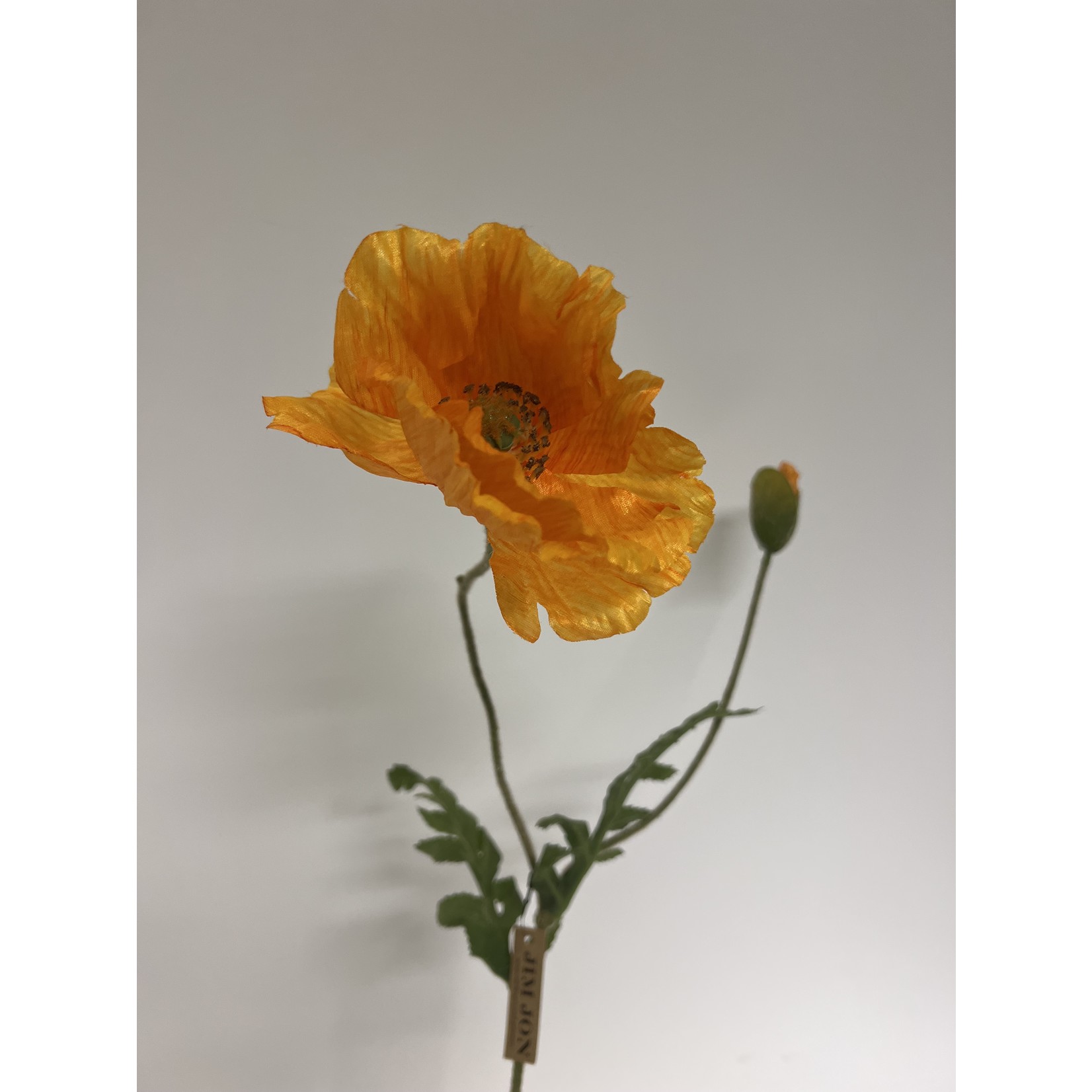 POPPY WELSH | ORANGE | 65 CM