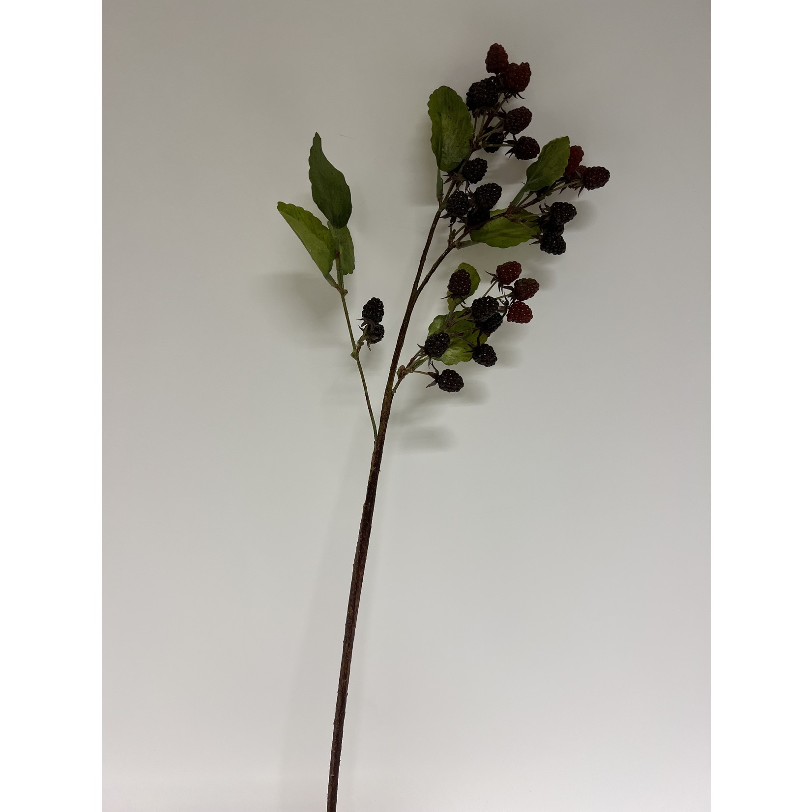 RASPBERRY SPRAY | BURGUNDY | 71 CM