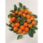 KUMQUAT WREATH | ORANGE