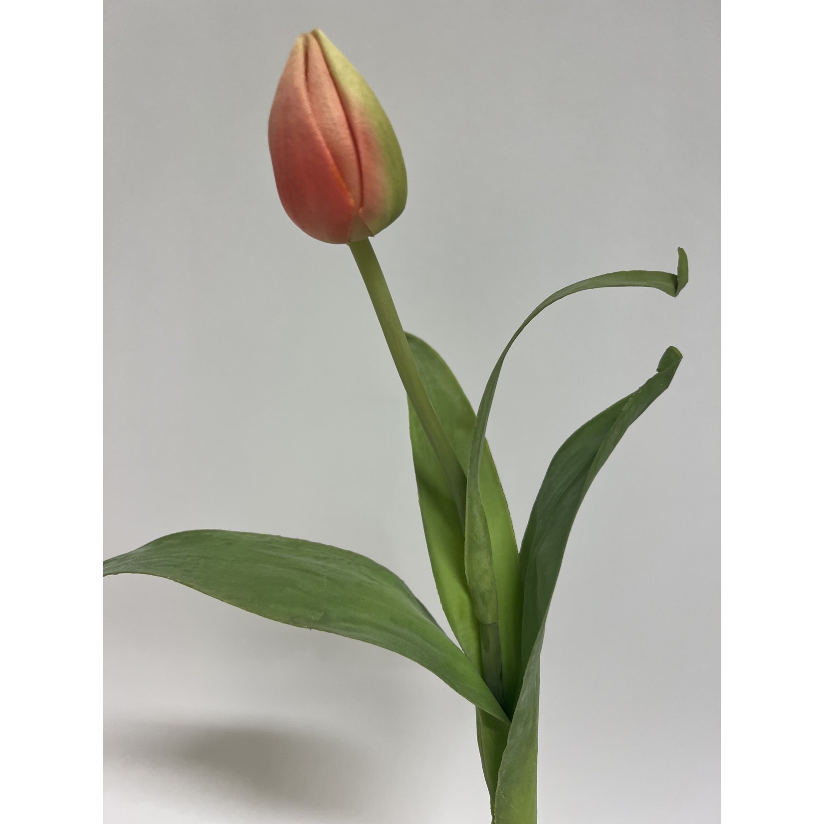 TULP BALLADE | ROZE | 38 CM