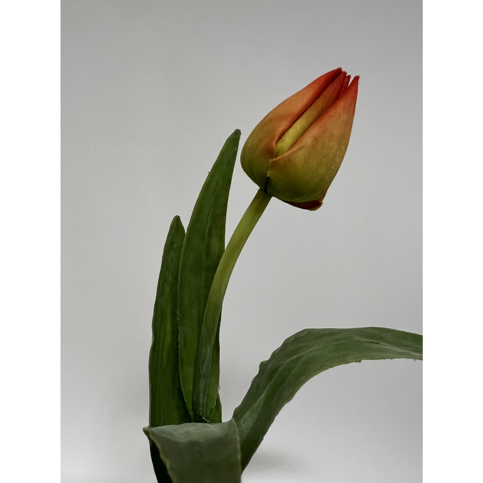 TULIP BALLADE | ORANGE | 38 CM