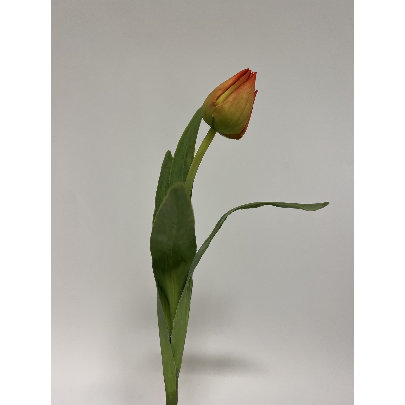 TULP BALLADE | ORANJE | 38 CM