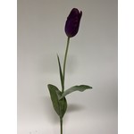 TULIP | PURPLE  | 67 CM