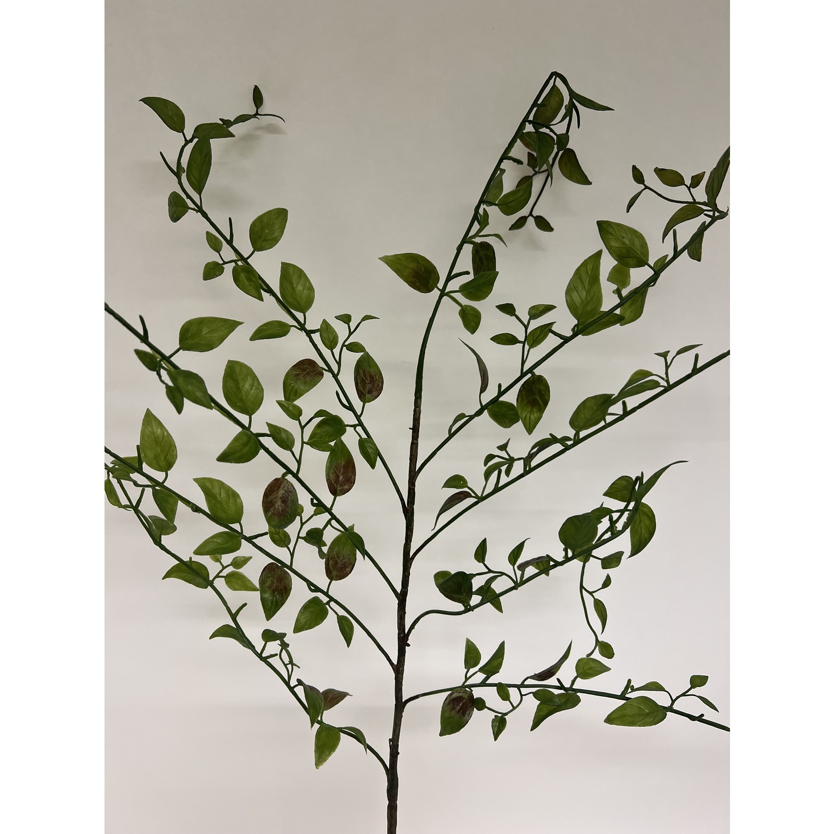 SEPHORA BRANCH | GREEN | 90  CM