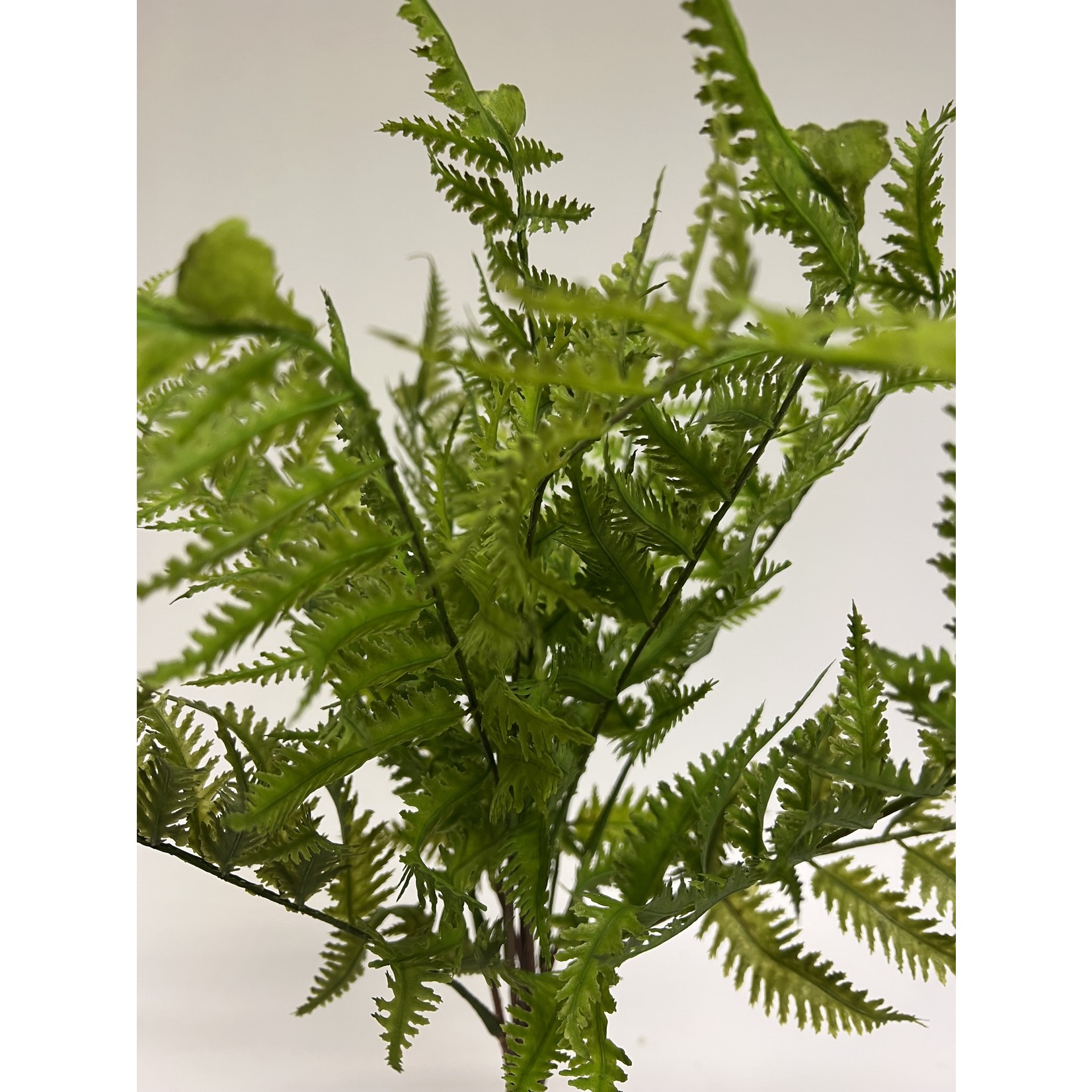 FERN BRANCH | GREEN | 42 CM