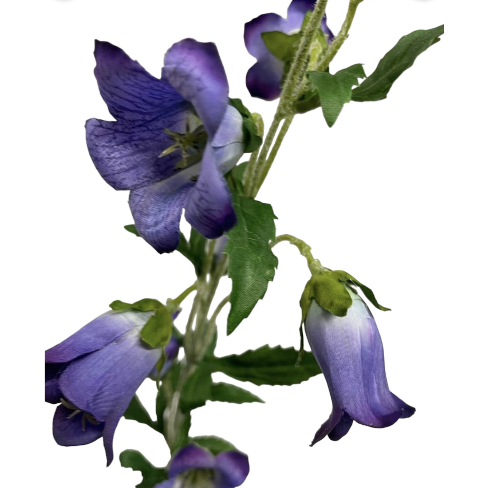 CAMPANULA | PURPLE | 86 CM