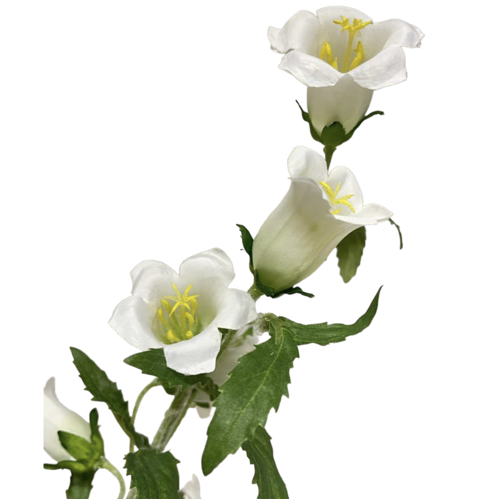 CAMPANULA | WIT | 86 CM