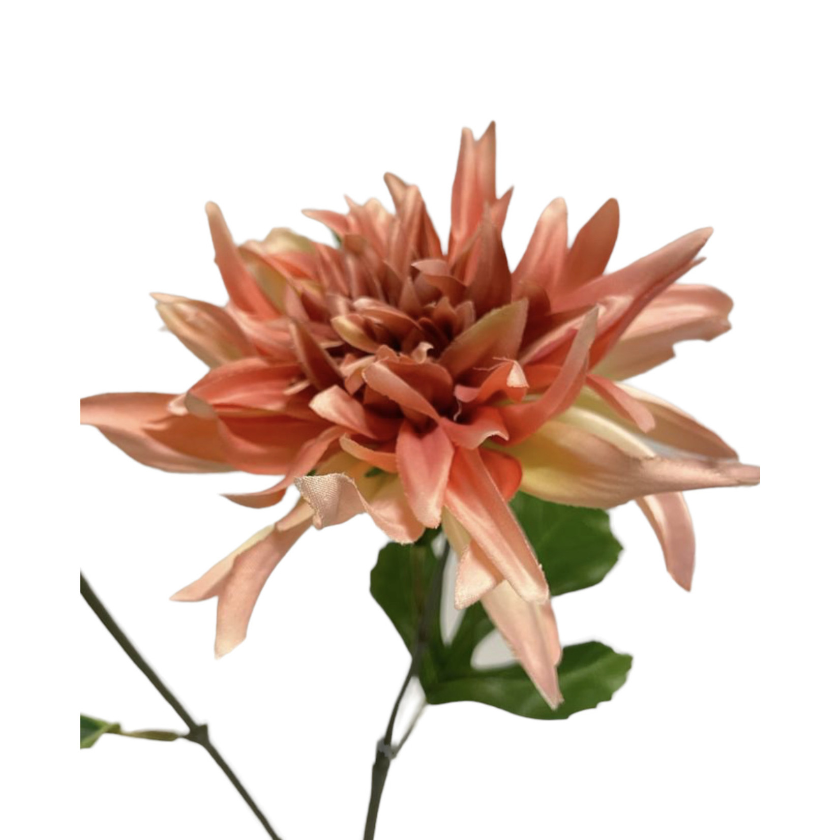 DAHLIA LABYRINTH  | ROZE | 63 CM